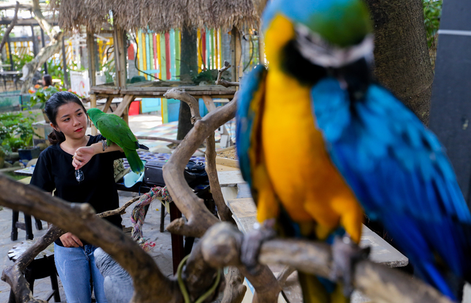 ä¸é¹¦é¹çåå¡å¨è¥¿è´¡